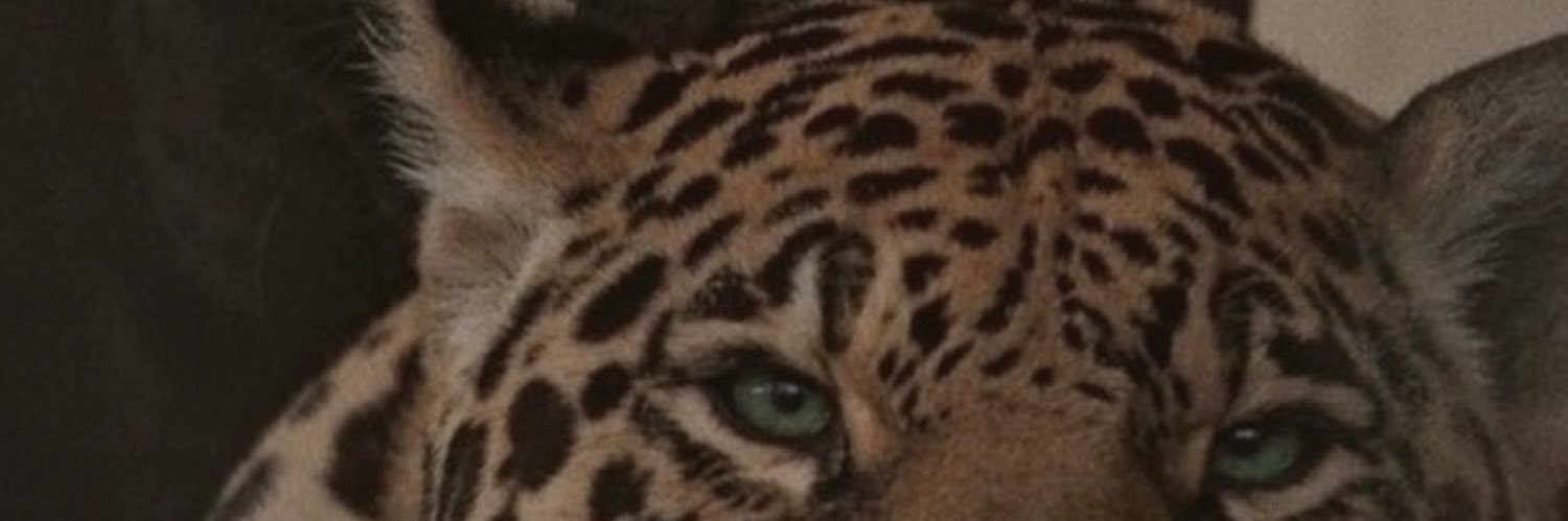 melikesui's profile banner image