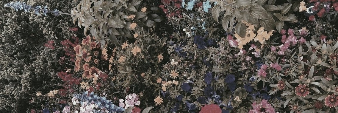 sarabucking's profile banner image