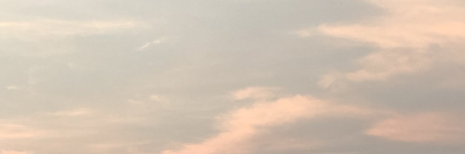 bupieo's profile banner image