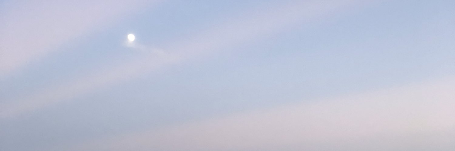 zappyriah's profile banner image