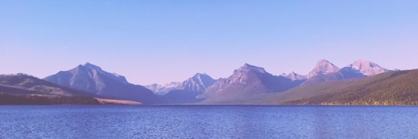 damnzl_ Profile Banner