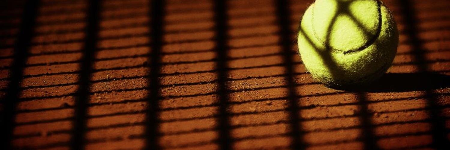 pedrotdayrell's profile banner image