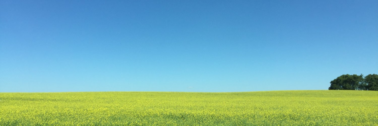YQRfiddle's profile banner image