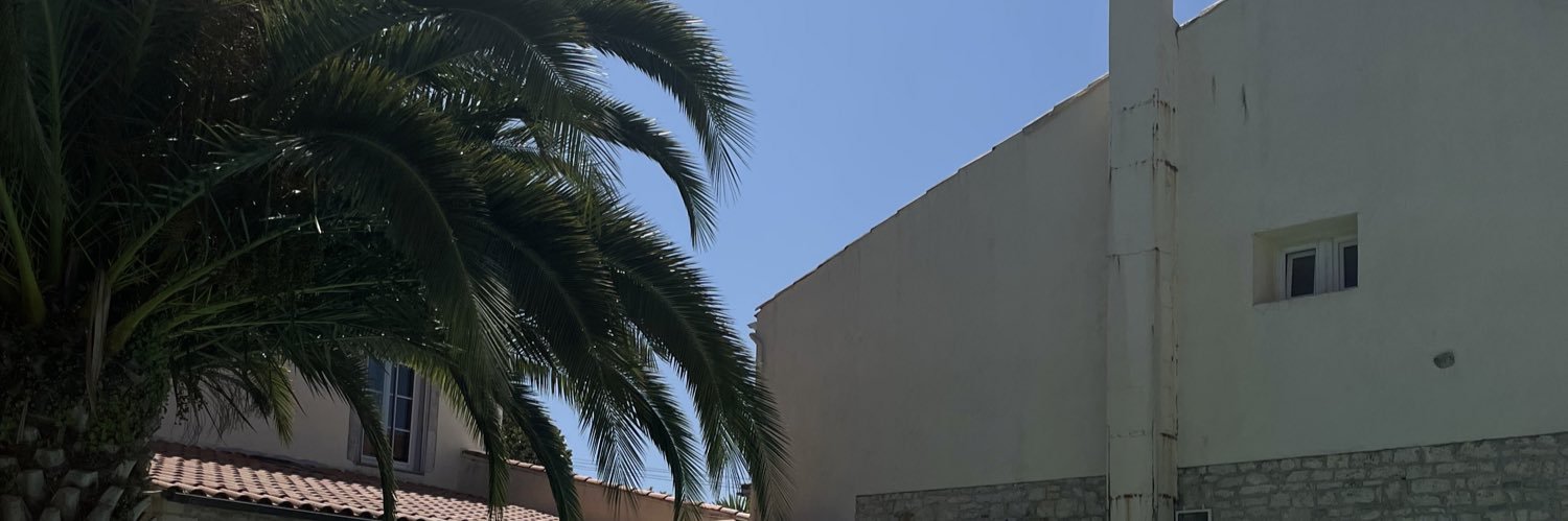 flavieman's profile banner image