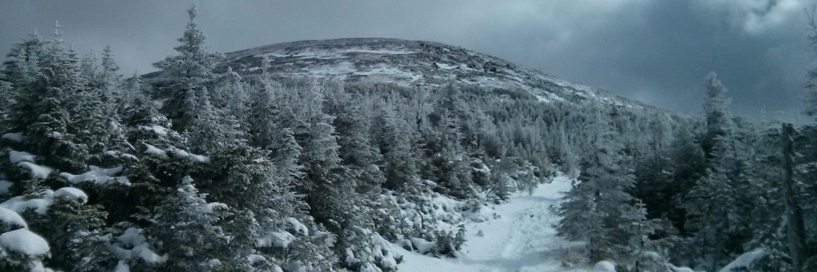 Bastien Rioux banner