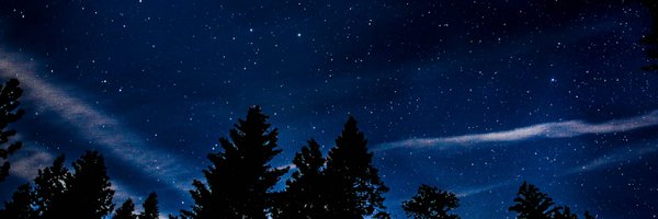 avapamini Profile Banner