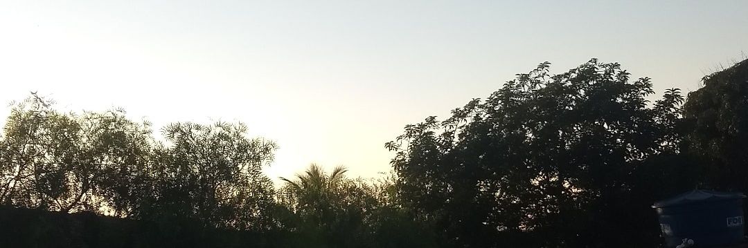 princessli30's profile banner image