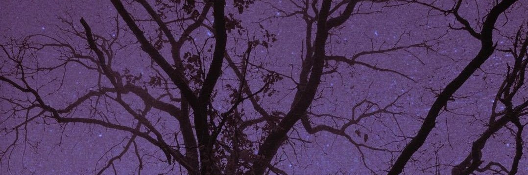kitkatkait_'s profile banner image