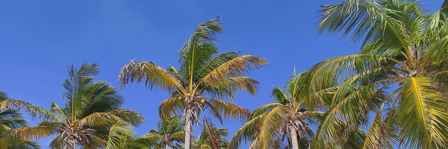 Matutejoel_'s profile banner image