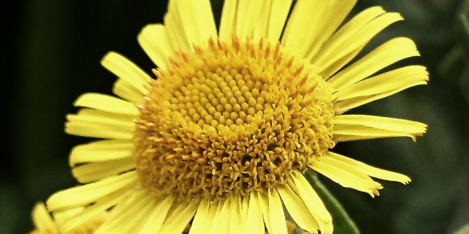 garywickson's profile banner image