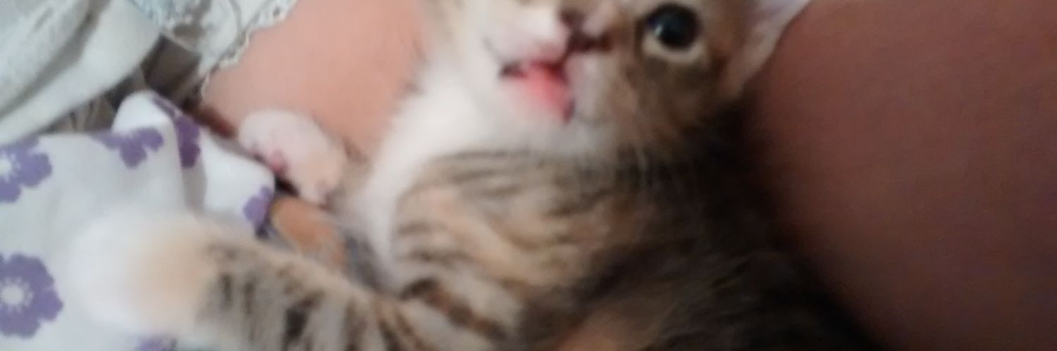 jeaneyanez's profile banner image