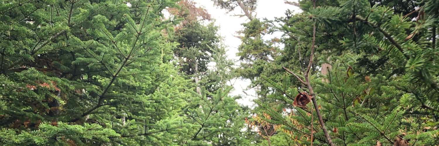 cameronjpenny's profile banner image