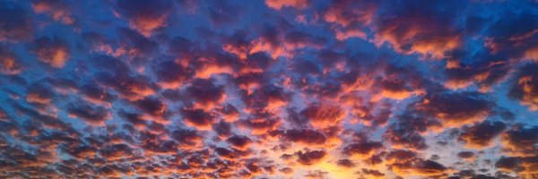 apfner Profile Banner