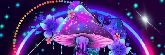 Kinnax_x's profile banner image