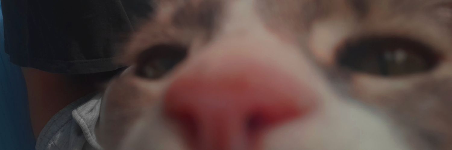 MoraRea's profile banner image