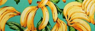 barrystander9's profile banner image