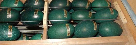 動物園＆水族館＆植物園ほか 担当 banner