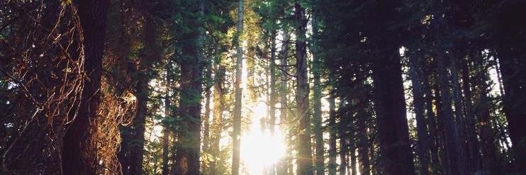 CaciaClark__'s profile banner image