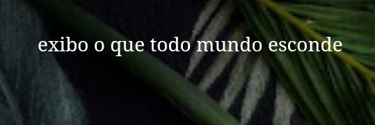 maitelisboa's profile banner image