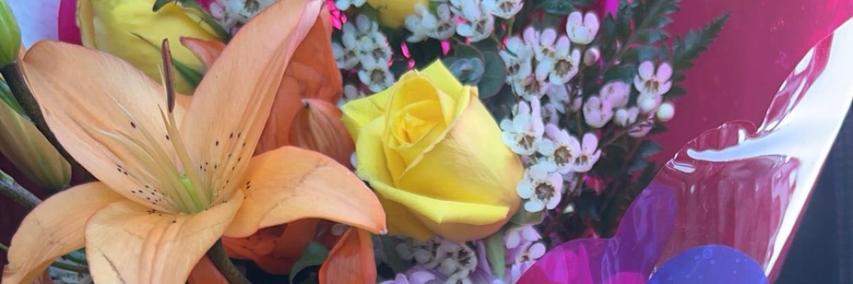 naniboo42's profile banner image