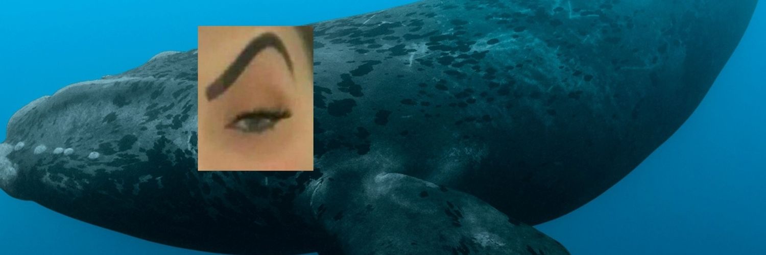 RoibenxKaye's profile banner image