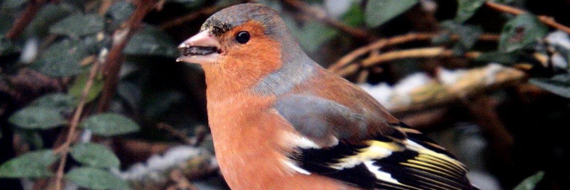 bitstewart miller banner