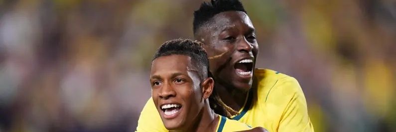 BotafogoNews's profile banner image