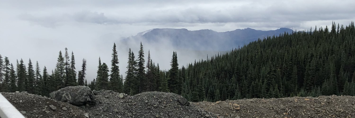 brodybarbs's profile banner image
