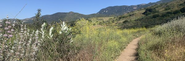 heidihelfand Profile Banner