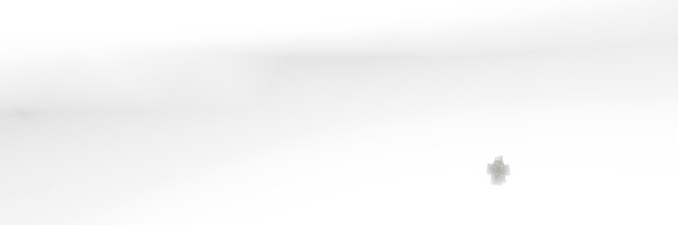 Endpoint banner