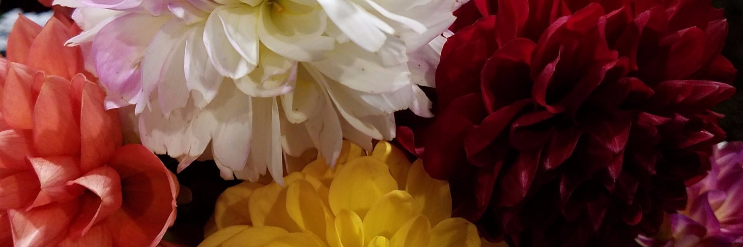 mpschemenauer's profile banner image