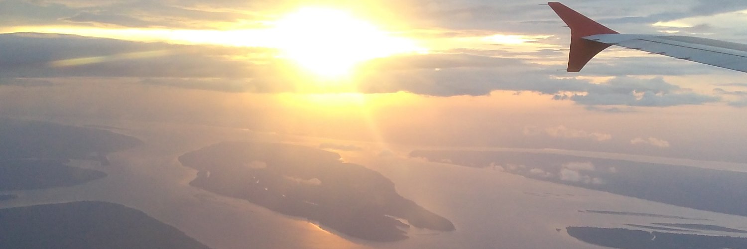 raonimelo's profile banner image
