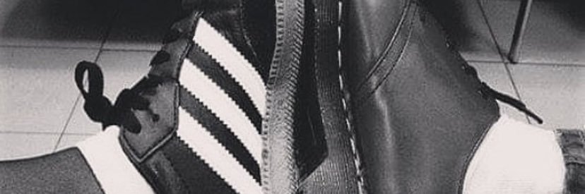 violarupestris's profile banner image