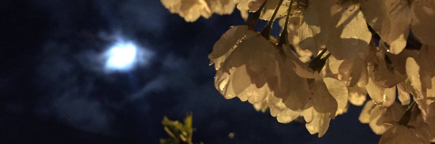 scraige14's profile banner image