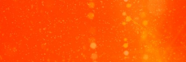 SamMarraccini Profile Banner