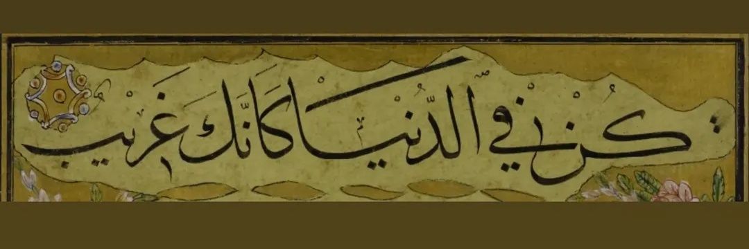 uykusuzdr's profile banner image