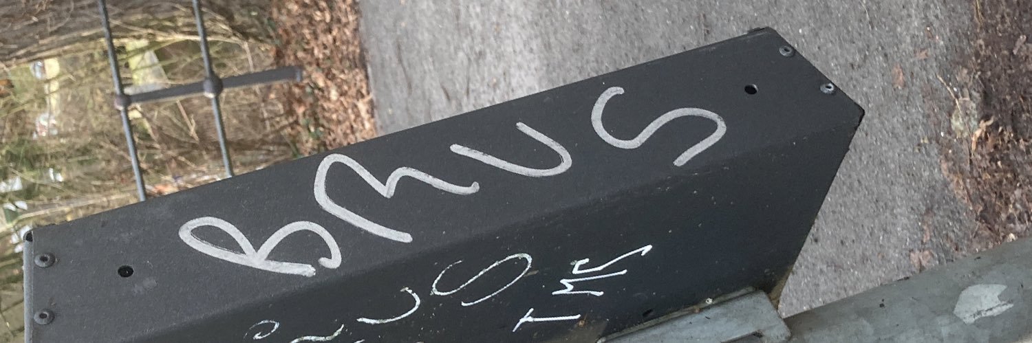 brustwit banner