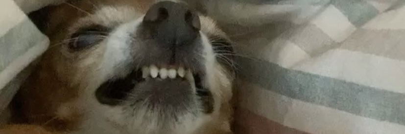 hazedndconfused's profile banner image