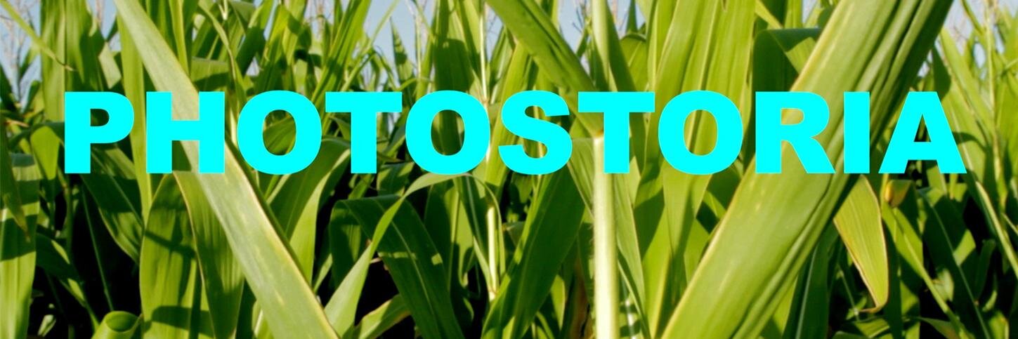 johsol73's profile banner image