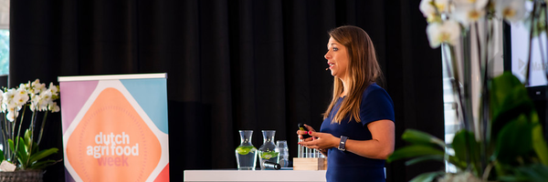 Alie_dB Profile Banner