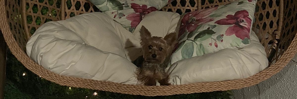 nataborquez's profile banner image
