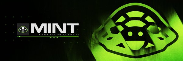 R6Mint Profile Banner