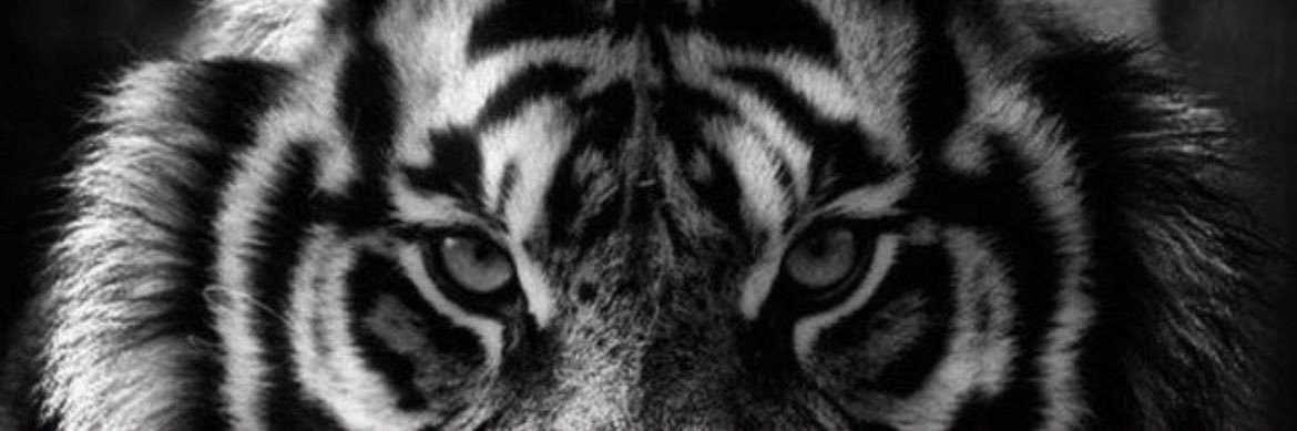 Justin R's banner