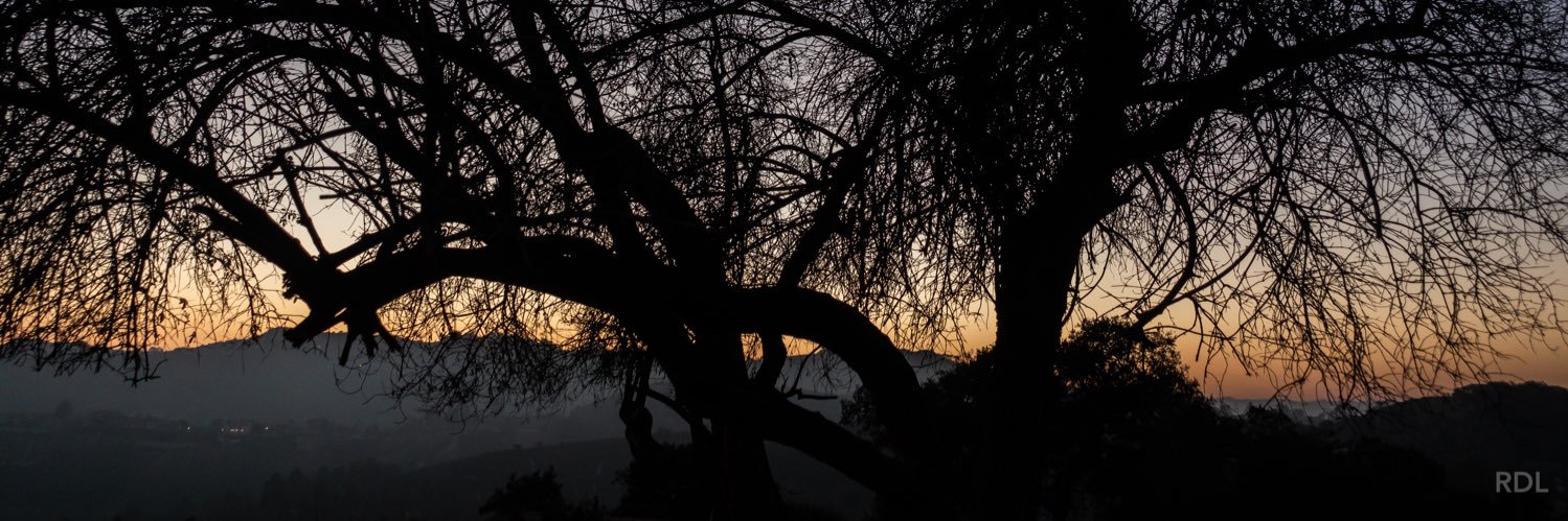 raaphdeleon's profile banner image