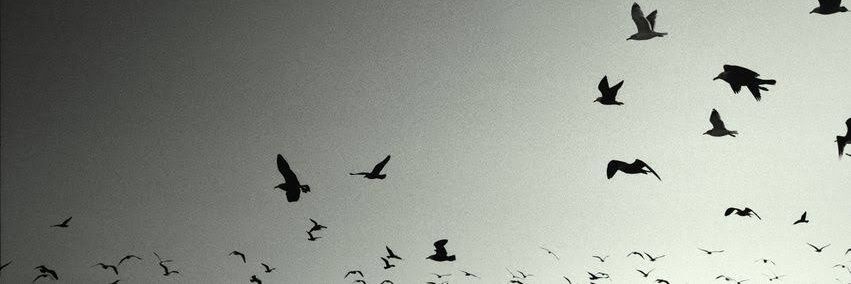 yusrayazgi's profile banner image