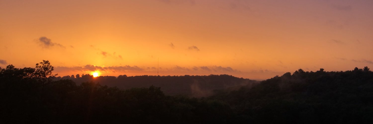 lsunick15's profile banner image