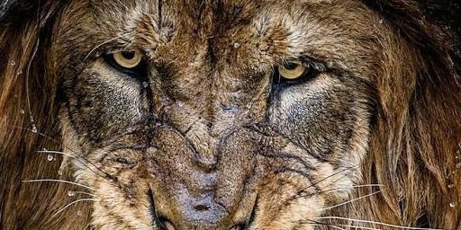 iamabdyy's profile banner image