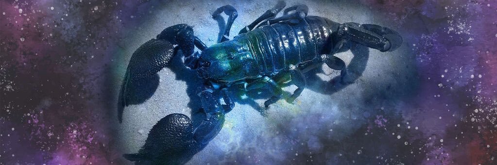 Anaguti83's profile banner image