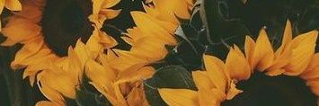 babulalala's profile banner image