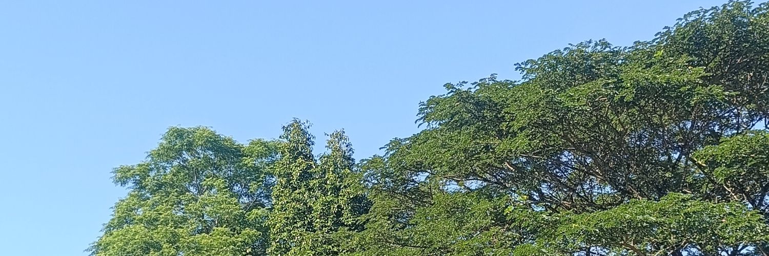 kreshnadeva's profile banner image